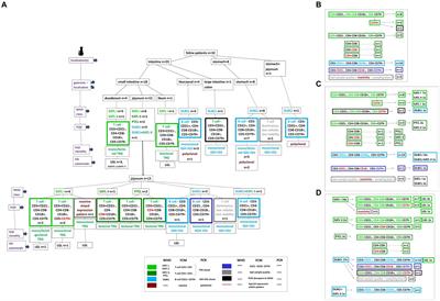 Flowcytometric data of intermediate-large cell gastrointestinal lymphoma presenting a gross mass in 32 cats – “let them glow in the flow”